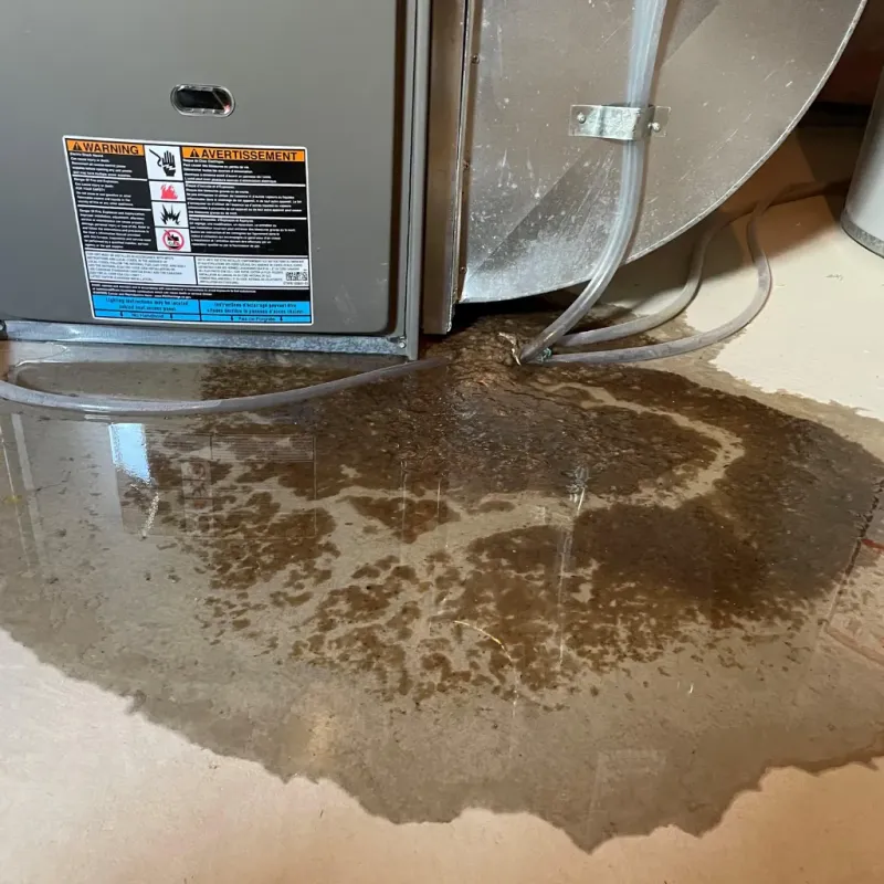 Appliance Leak Cleanup in Utica, SC