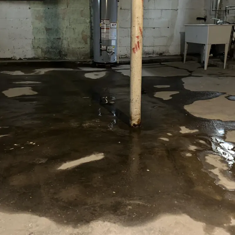 Emergency Water Extraction And Removal in Utica, SC